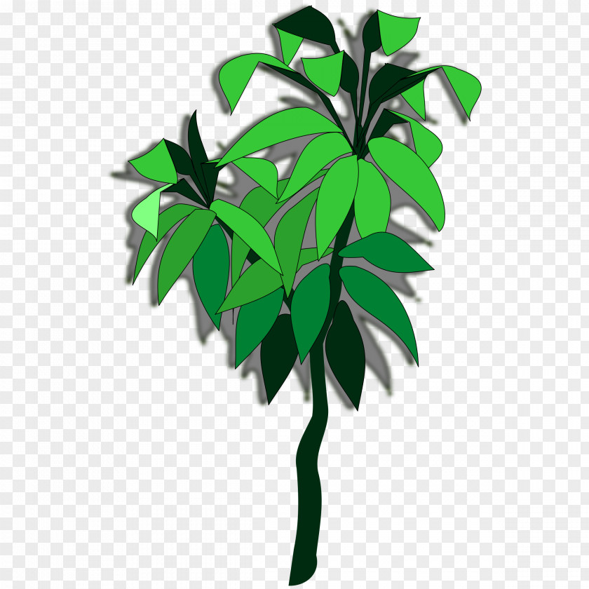 Cassava Tree Branch Flowerpot Houseplant Leaf PNG