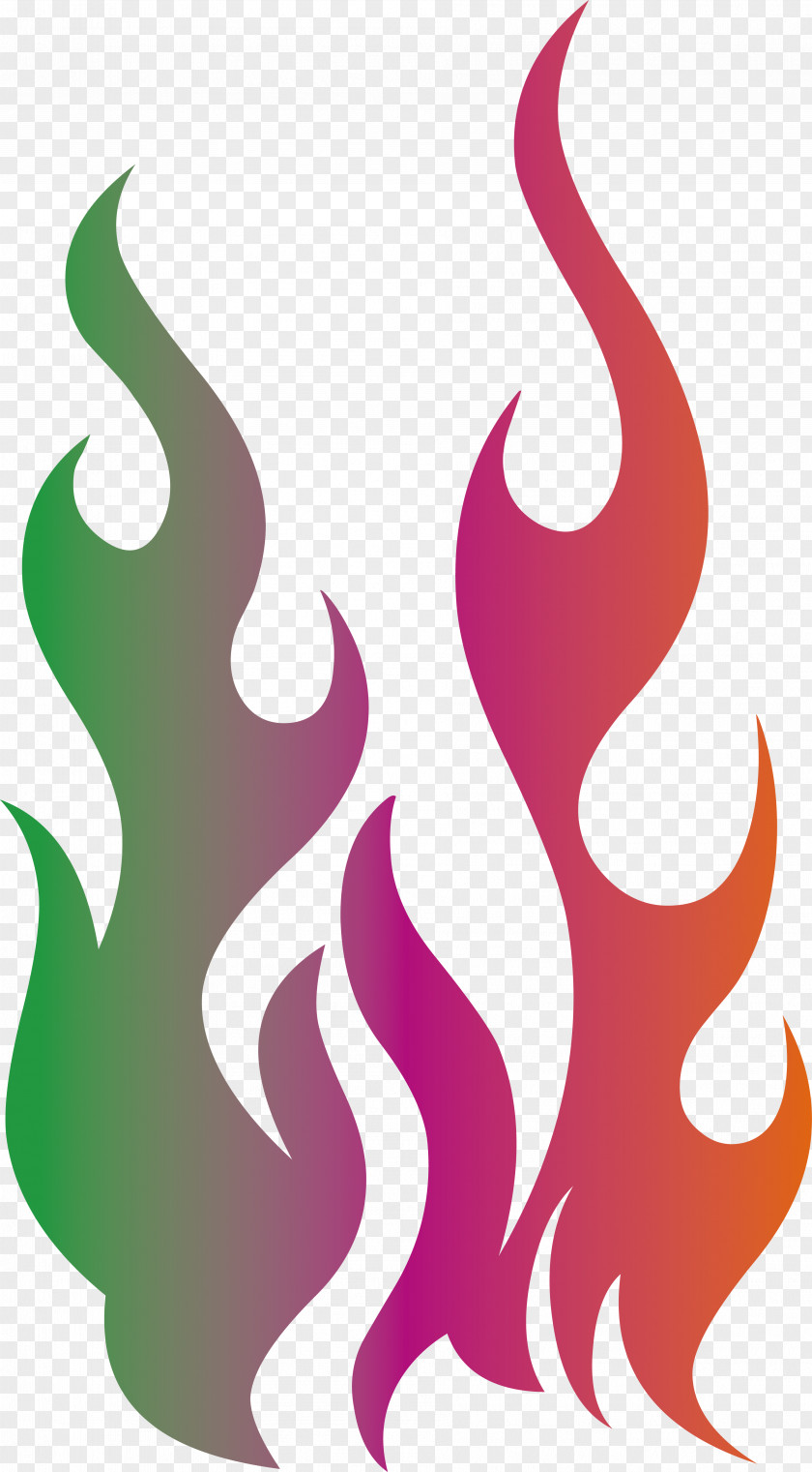 Color Logo Fire Vector Text PNG