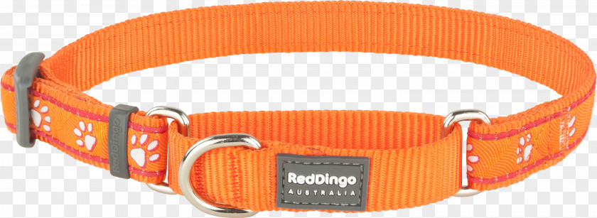 Dog Collar Dingo Martingale PNG