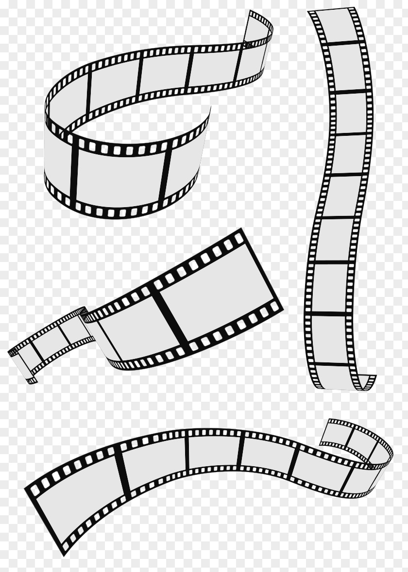 Filmstrip Photographic Film Roll PNG