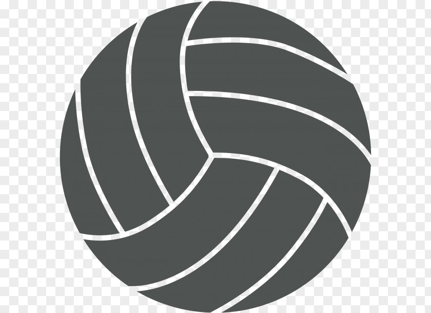 Logo Net Sports Beach Ball PNG