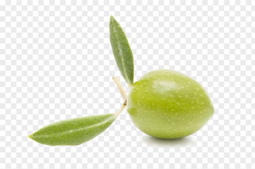Olives Photography Olive Royalty-free Clip Art PNG