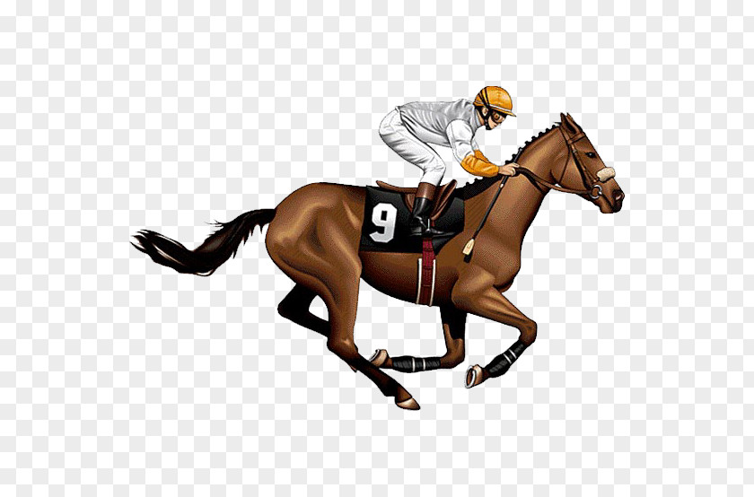 спорт The Kentucky Derby Horse Racing Jockey Clip Art PNG