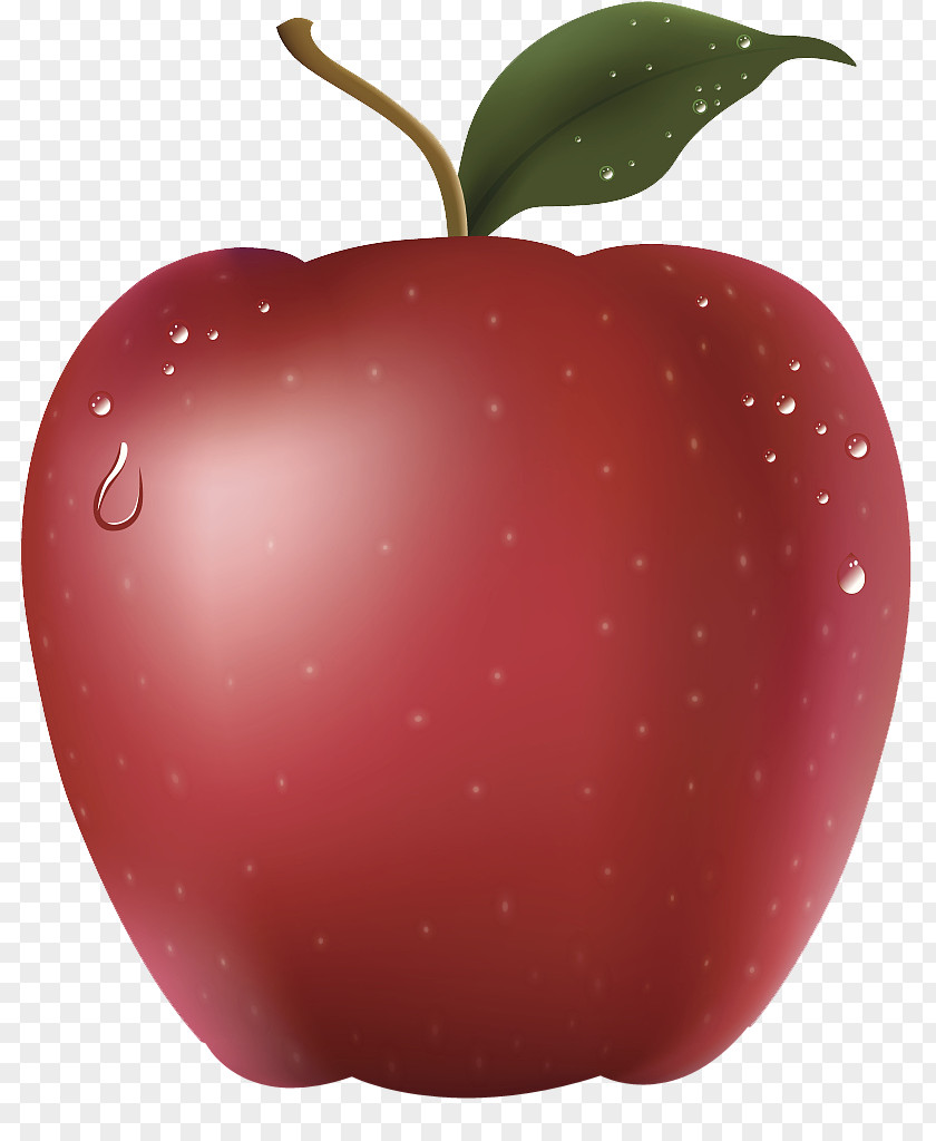 Clean The Apple Auglis PNG