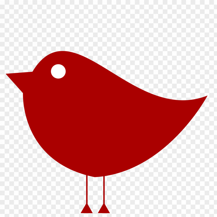 Design Drawing Bird Color Clip Art PNG