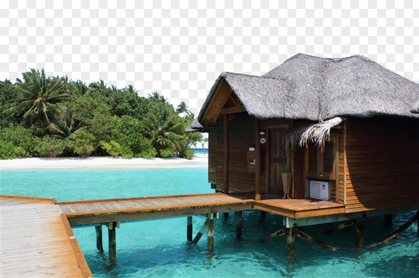 Maldives Vacation Pictures Maafushi Package Tour Resort Hotel PNG