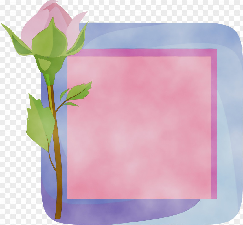 Picture Frame PNG