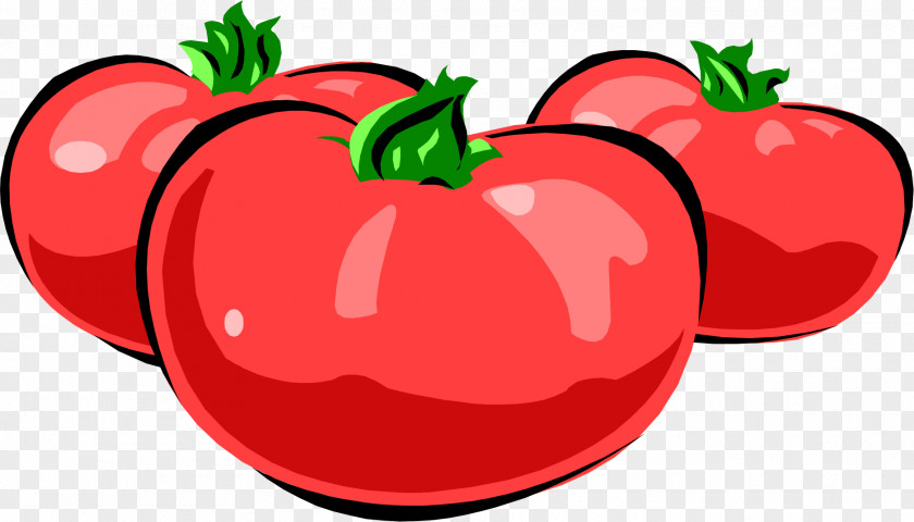 Tomato Valencian Community Albi Technology Painting Couple PNG