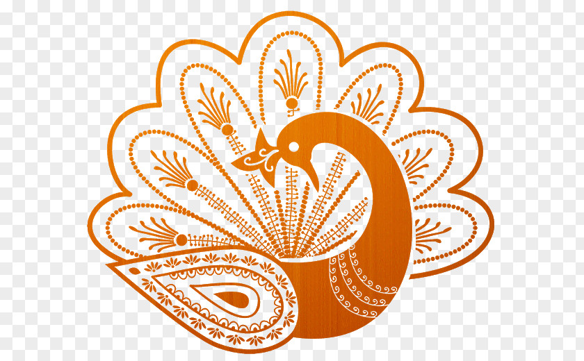 Feather Peafowl Vector Graphics Image Drawing PNG