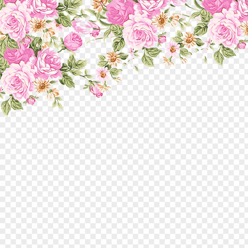 Flowering Plant Rose Order Floral Design PNG
