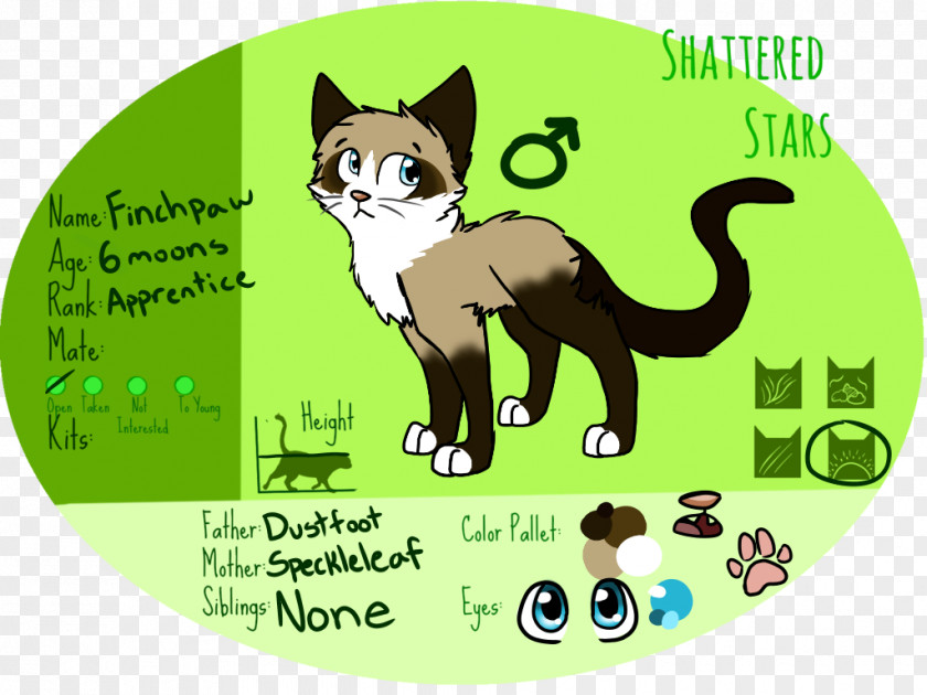 Kitten Whiskers Cat Cartoon Tail PNG