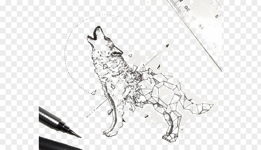 Painted Wolf Dog Sketchy Stories: The Sketchbook Art Of Kerby Rosanes Geometry Tiger Drawing PNG