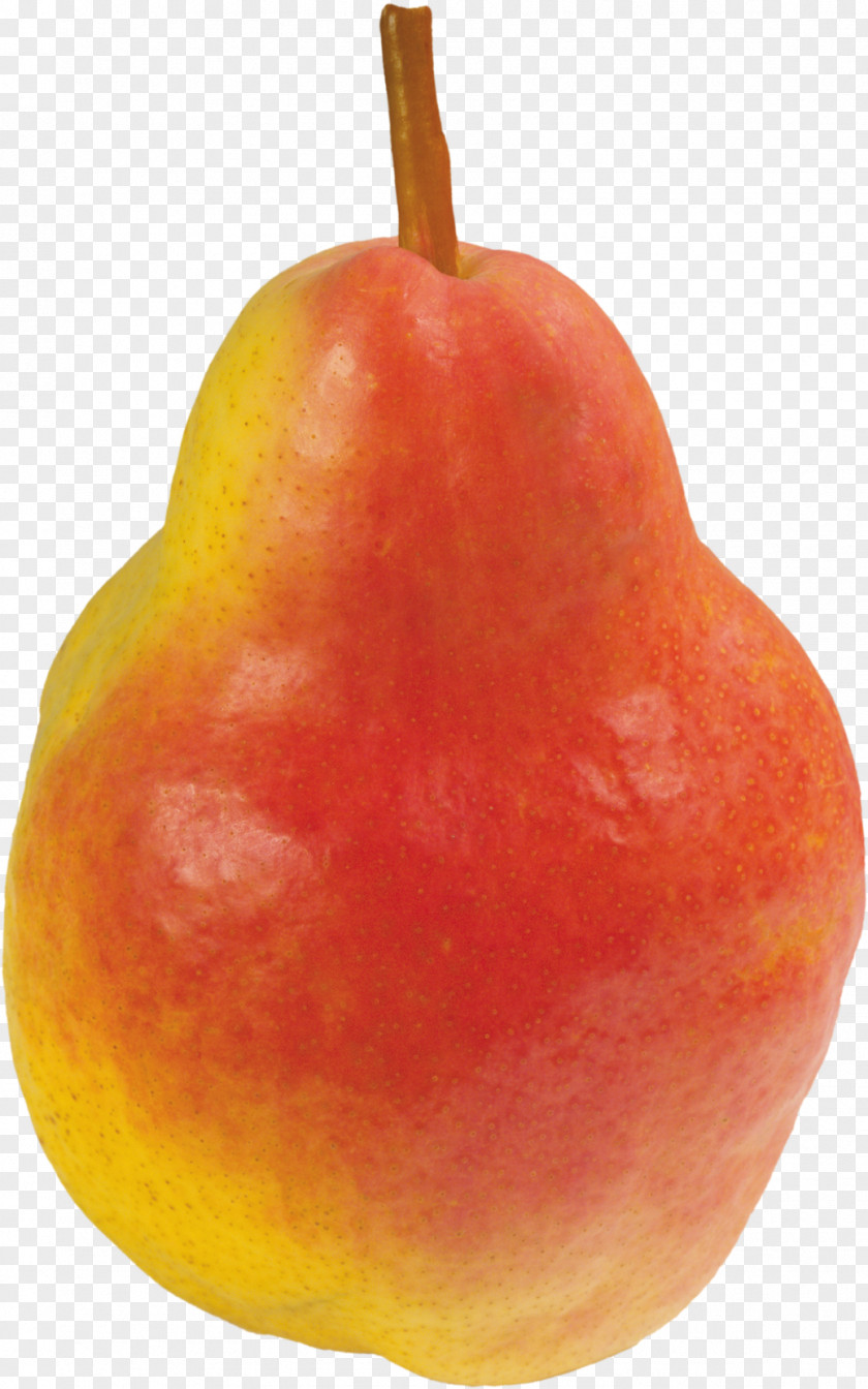 Pear Clip Art Accessory Fruit PNG