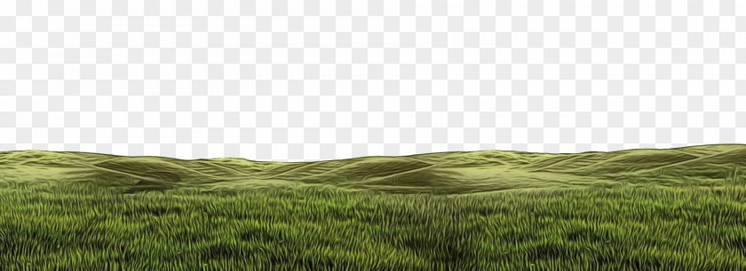 Road Wind Green Grass Background PNG