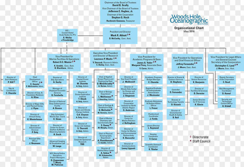 Business Organizational Chart Structure Diagram PNG