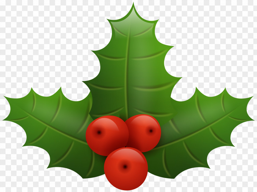 Christmas Holly Clip Art Image Common Santa Claus PNG