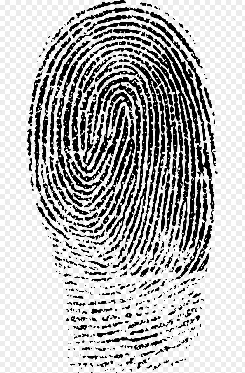 Fingerprints Fingerprint Forensic Science Clip Art PNG