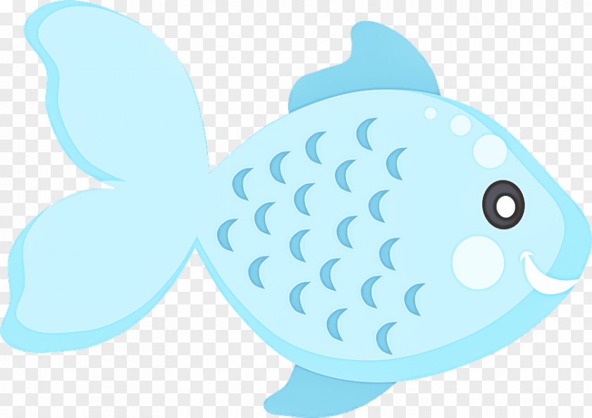 Fish Aqua Turquoise Blue PNG