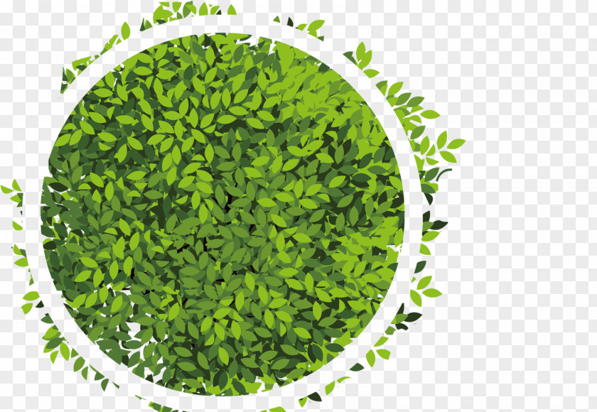 Green Leaves Circle PNG