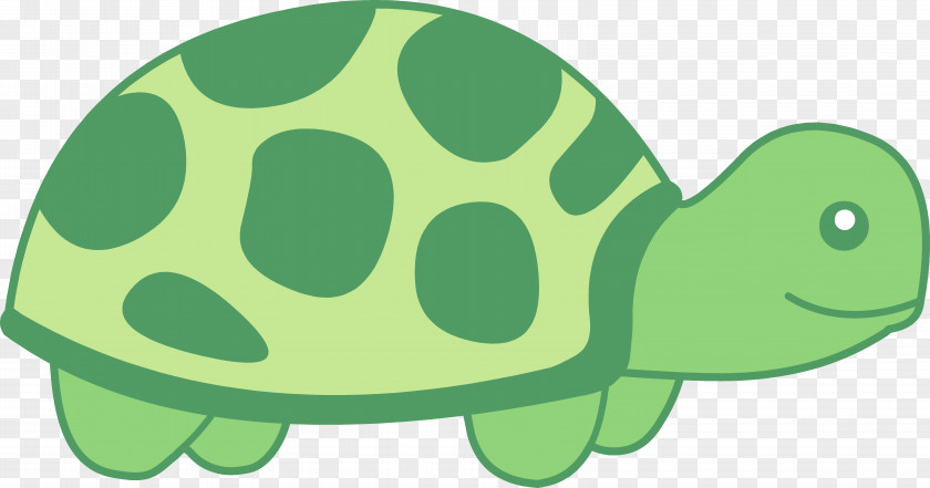 Green Turtle Cliparts Old Sea Clip Art PNG