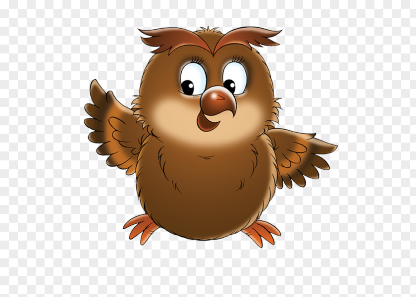 Owl Bird Clip Art Image PNG