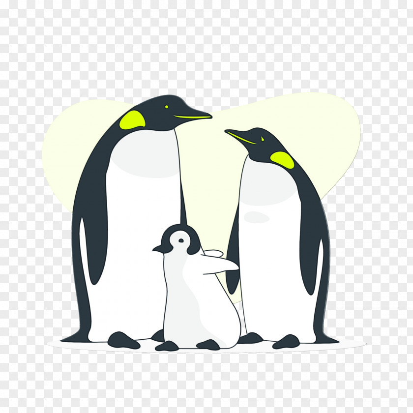 Penguins King Penguin Birds Drawing PNG
