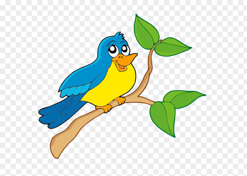 Bird Owl Parrot Clip Art PNG
