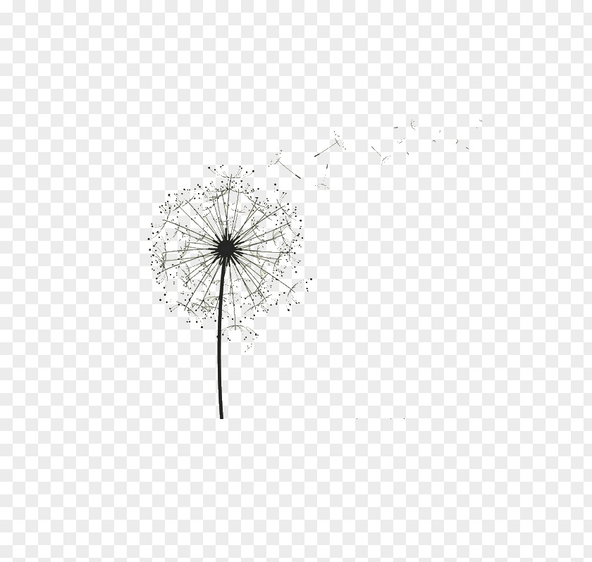 Dandelion Black And White Pattern PNG