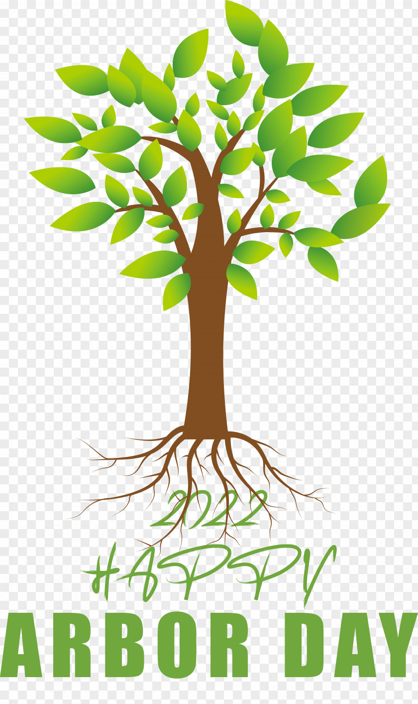 Drawing Tree Cartoon Icon Root PNG
