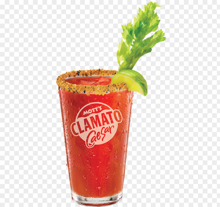 Grand Opening Special Food Caesar Bloody Mary Clamato Michelada Bacon Vodka PNG