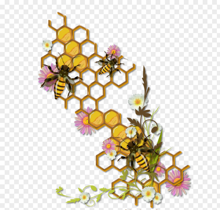 Hand-painted Honey Beehive Insect Bee Bumblebee PNG