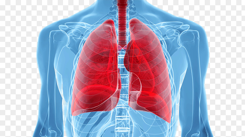 Lung Cancer Staging Screening Human Body PNG