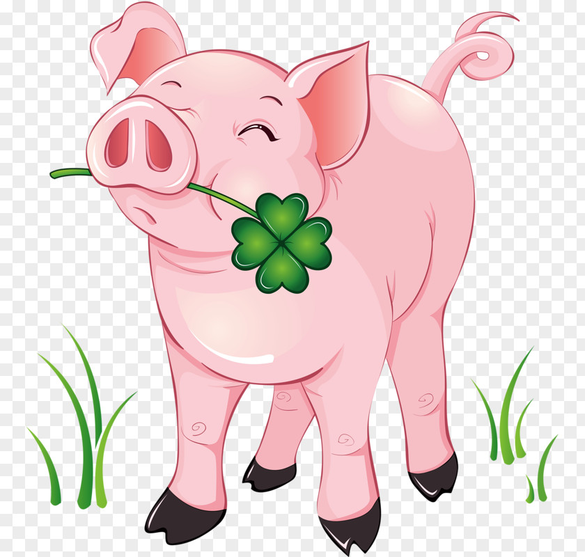 Pig Domestic Piglet Clip Art PNG