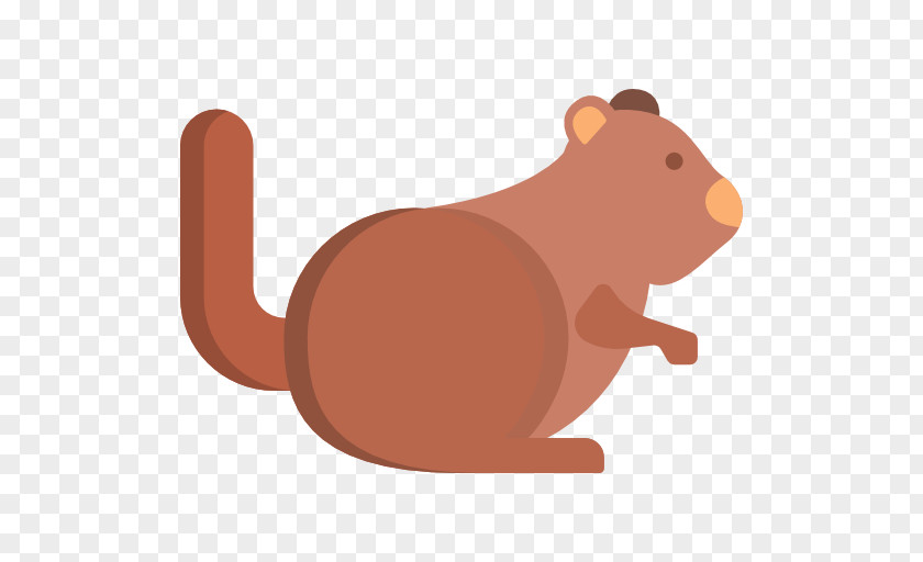 Squirrel Rodent Mouse Rat Mammal Murids PNG