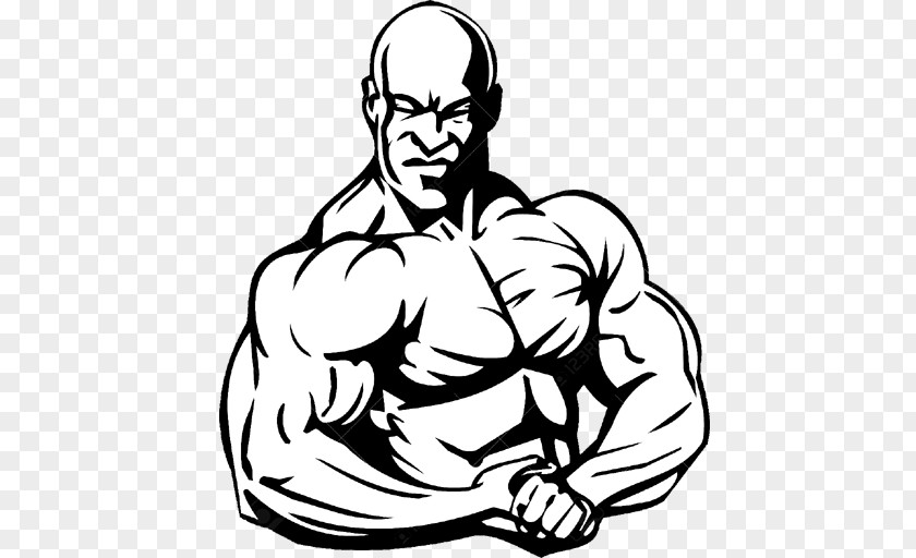 Bodybuilding Vector Graphics Clip Art Illustration Physical Fitness PNG