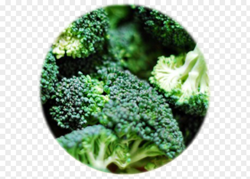Broccoli Cabbage Cauliflower Kohlrabi Brussels Sprout PNG