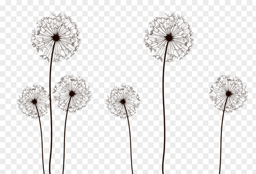 Dandelion Vector Desktop Wallpaper Drawing Display Resolution PNG