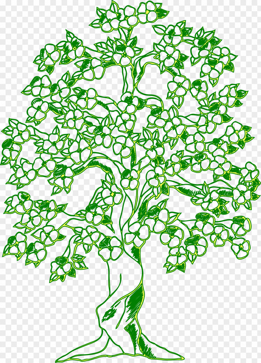 Ecological Environment Coloring Book Tree Wall Decal Child PNG