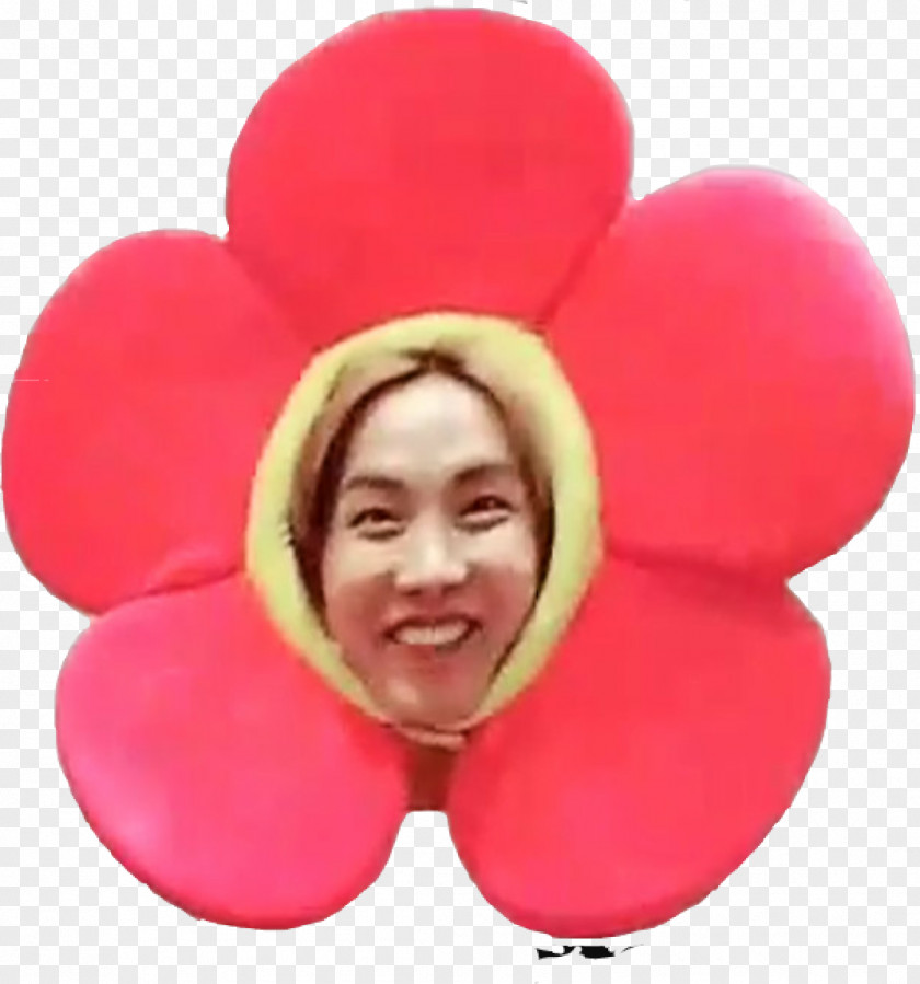 Flowe BTS Flower K-pop Sticker PNG
