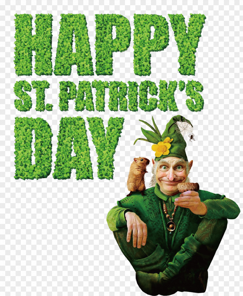 Leprechaun PNG