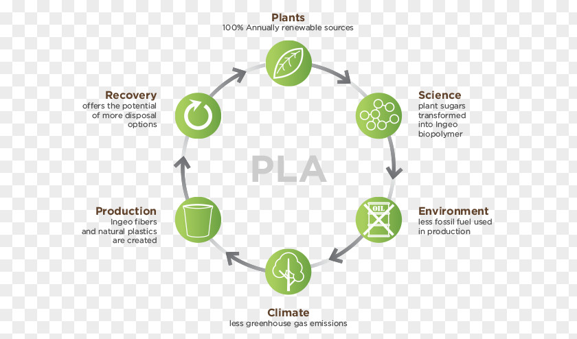 Polylactic Acid Paper Life-cycle Assessment Plastic PNG