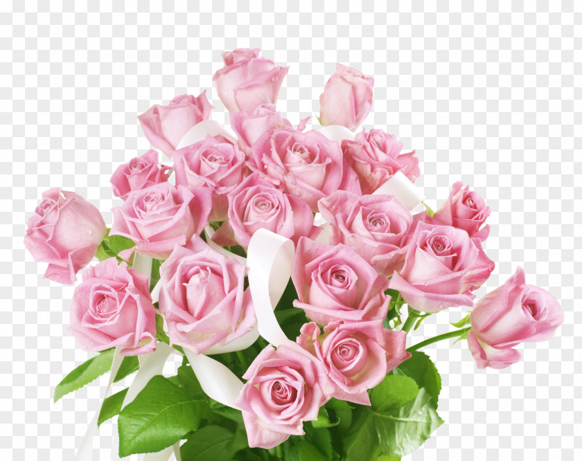 Casamento Rose Flower International Women's Day Desktop Wallpaper PNG