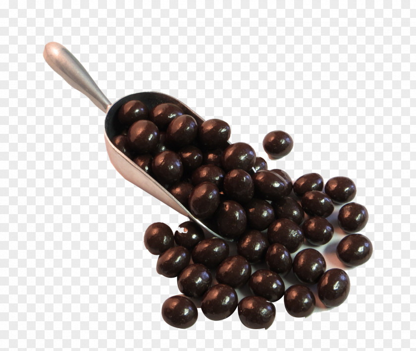 Coffee Beans Chocolate-covered Bean Espresso Latte Masala Chai PNG