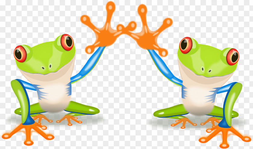 Frog The Tree Red-eyed Amphibian PNG