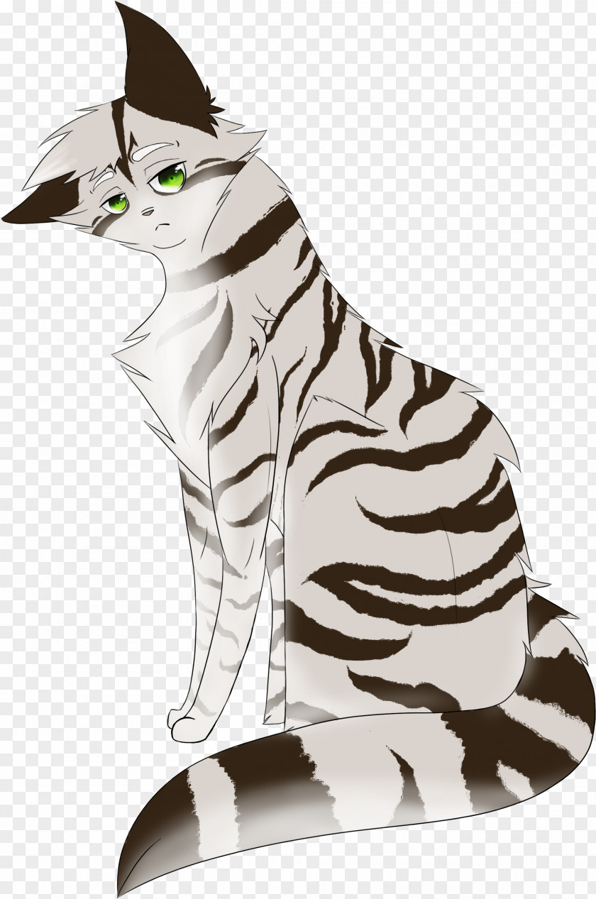 Wove Tabby Cat Tiger Mammal Whiskers PNG