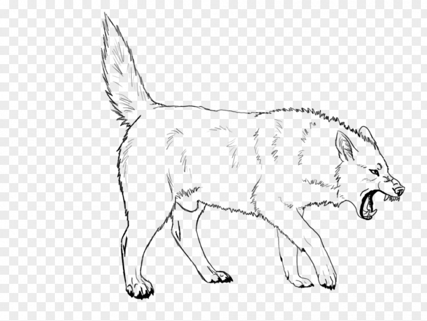 Angry Wolf Face Dog Breed Walking Red Fox Line Art PNG