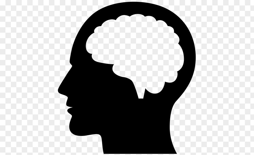 Brain Human Head Clip Art PNG