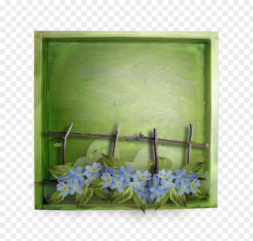 Cardboard Texture Still Life Photography Acrylic Paint Picture Frames Floral Design PNG