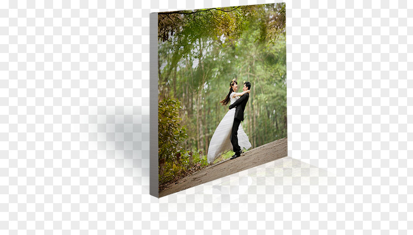 Metal Box Brushed Aluminium Paper Marriage PNG