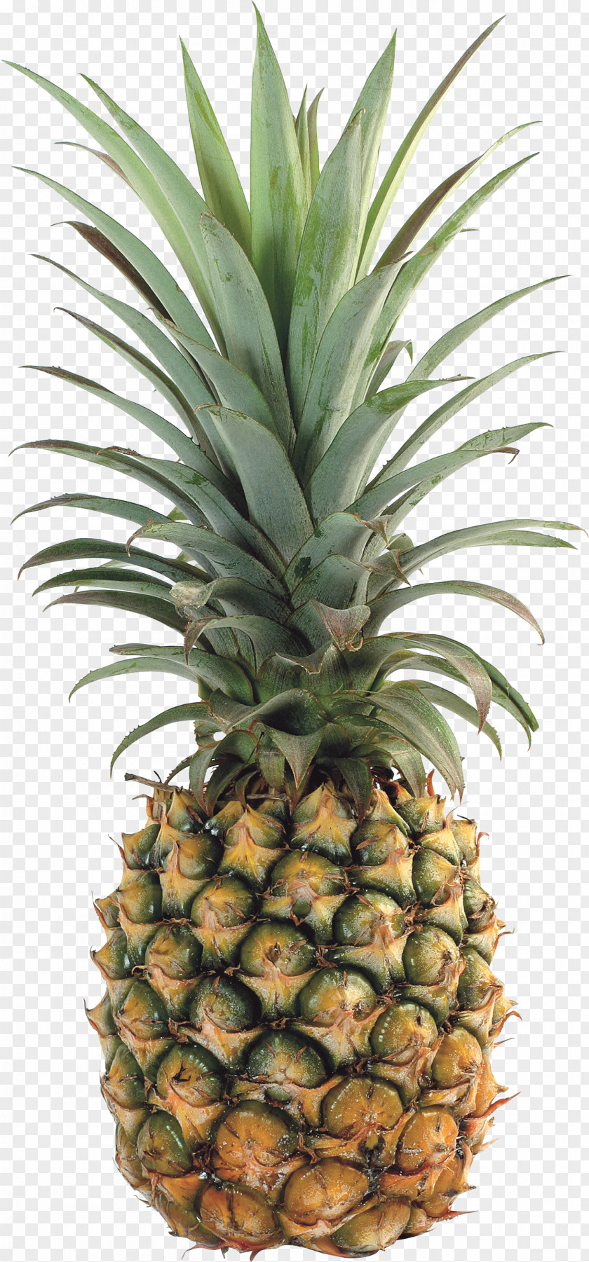 Pineapple Image, Free Download Upside-down Cake Tropical Fruit PNG